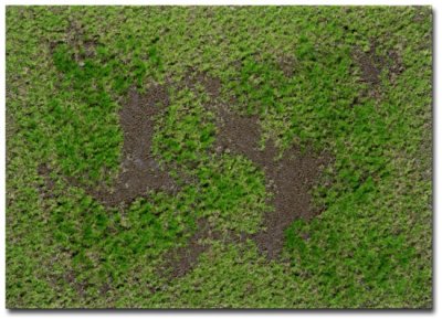 Martin Welberg Scenic Studios WB-M001 - Rough Meadow - Spring - Type A Mat - 30cm X 21cm