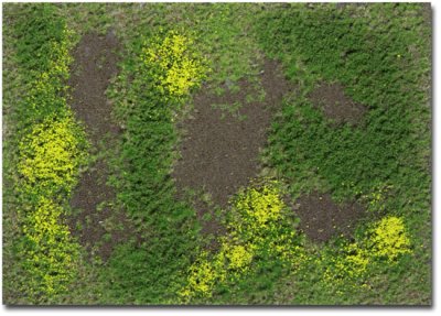 Martin Welberg Scenic Studios WB-M002 - Rough Meadow w/ Weeds - Spring - Type A Mat - 30cm X 21cm