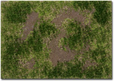 Martin Welberg Scenic Studios WB-M003 - Rough Meadow - Spring - Type B - Mat - 30cm X 21cm