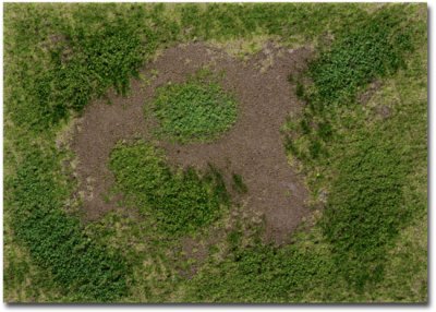 Martin Welberg Scenic Studios WB-M004 - Rough Meadow - Summer w/ Weeds - Type B - Mat - 30cm X 21...