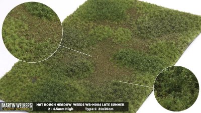 Martin Welberg Scenic Studios WB-M006 - Rough Meadow - Late Summer w/ Weeds - Type C - 30cm X 21c...