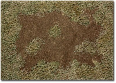 Martin Welberg Scenic Studios WB-M009 - Rough Meadow - Fall - Type E - Mat - 30cm X 21cm