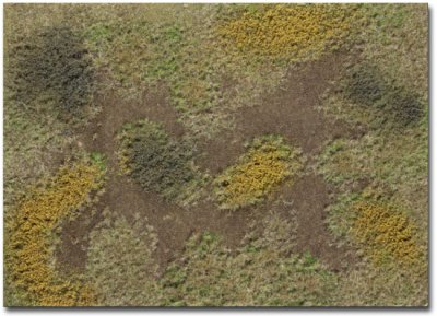 Martin Welberg Scenic Studios WB-M010 - Rough Meadow - Fall w/ Weeds - Type E - Mat - 30cm X 21cm