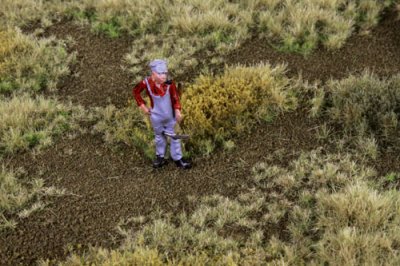 Martin Welberg Scenic Studios WB-M010 - Rough Meadow - Fall w/ Weeds - Type E - Mat - 30cm X 21cm