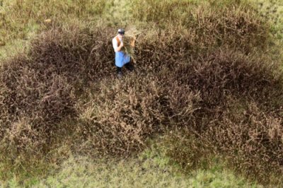 Martin Welberg Scenic Studios WB-M046 - Wild Shrubbery - Winter - Type F - Mat - 30cm X 21cm