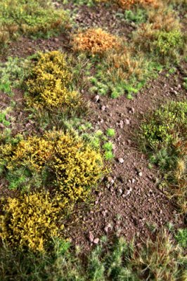 Martin Welberg Scenic Studios WB-M054 - Forest Floor - Early Fall - Type D - 30cm X 21cm