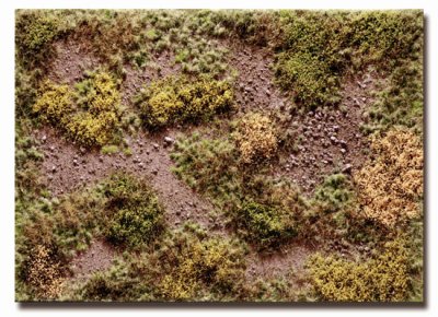 Martin Welberg Scenic Studios WB-M054 - Forest Floor - Early Fall - Type D - 30cm X 21cm