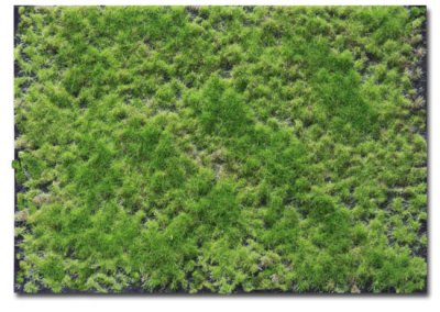 Martin Welberg Scenic Studios WB-P241 - Multi-Layered Tufts - Spring Tone 2-4mm