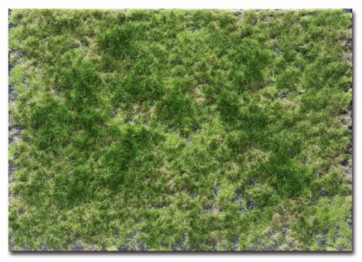 Martin Welberg Scenic Studios WB-P242 - Layered Tufts - Summer - 2mm-4mm - 1 Sheet