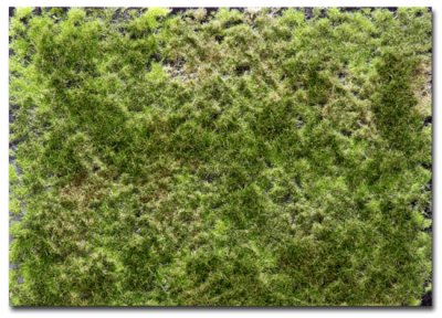 Martin Welberg Scenic Studios WB-P243 - Layered Tufts - Late Summer - 2mm-4mm - 1 Sheet