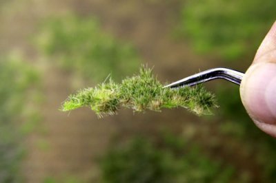Martin Welberg Scenic Studios WB-P243 - Layered Tufts - Late Summer - 2mm-4mm - 1 Sheet