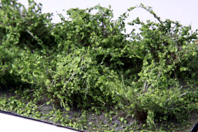 Martin Welberg Scenic Studios WB-SAMG - Bushes - Medium Green - Type A - 2cm-3cm - 10 pcs