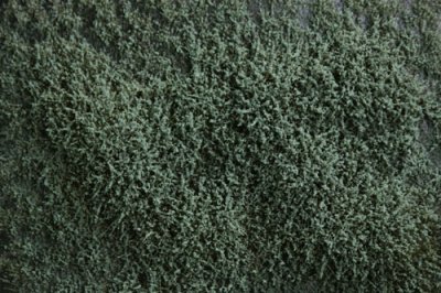 Martin Welberg Scenic Studios WB-SFS - Bushes - Type F Low - Sage Green - 2-24mm