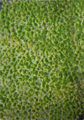 Martin Welberg Scenic Studios WB-P222 - Layered Tufts - Summer - 2 mm
