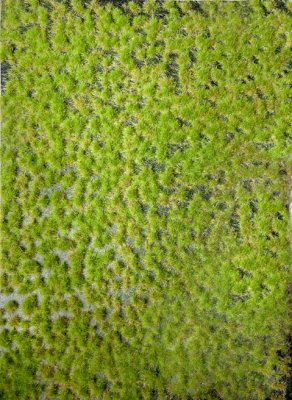Martin Welberg Scenic Studios MB-P221 - Layered Tufts - Spring - 2mm