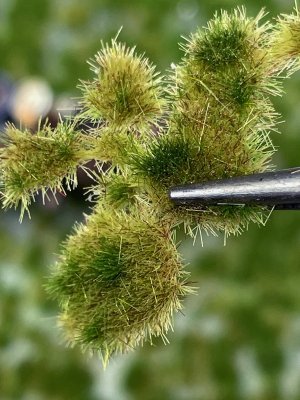 Martin Welberg Scenic Studios WB-P222 - Layered Tufts - Summer - 2 mm