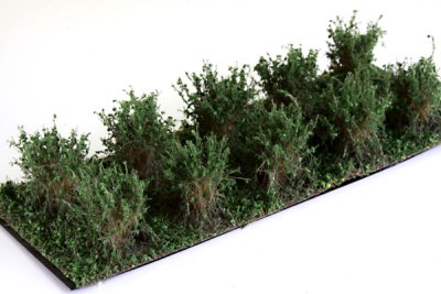 Martin Welberg Scenic Studios WB-SADG - Bushes - Dark Green - Type A - 2cm-3cm - 10 pcs