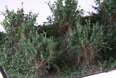 Martin Welberg Scenic Studios WB-SADG - Bushes - Dark Green - Type A - 2cm-3cm - 10 pcs