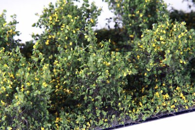 Martin Welberg Scenic Studios WB-SAG - Bushes - Yellow - Type A - 2cm-3cm - 10 pcs