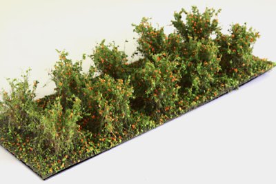 Martin Welberg Scenic Studios WB-SAO - Bushes - Orange - Type A - 2cm-3cm - 10 pcs