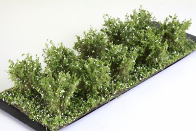 Martin Welberg Scenic Studios WB-SAW - Bushes - White - Type A - 2cm-3cm - 10 pcs