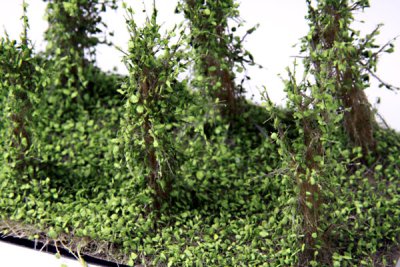Martin Welberg Scenic Studios WB-SBMG - Bushes - Medium Green - Type B - 3cm-4cm - 10 pcs