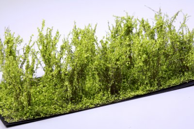 Martin Welberg Scenic Studios WB-SCLG - Bushes - Light Green - Type C - 10 pcs