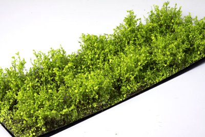 Martin Welberg Scenic Studios WB-SDLG - Bushes - Light Green - Type D - 10 pcs