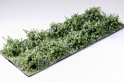 Martin Welberg Scenic Studios WB-SDW - Bushes - White - Low - Type D - 10 pcs - 2cm-3cm