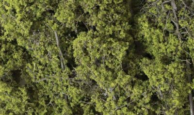 Woodland Scenics 1132 - Fine-Leaf Foliage - Light Green