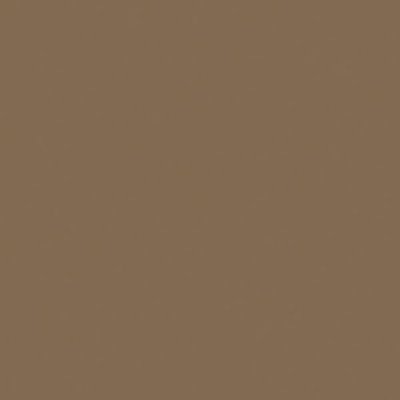 Tru Color Paint 824-2 - Flat Brushable Color Acrylic Paints - Earth - 2oz