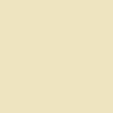 Tru Color Paint 340 - Acrylic - Toronto, Hamilton & Buffalo Cream - 1oz