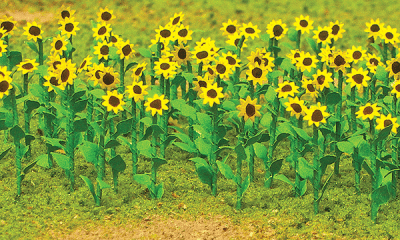 JTT 95523 - HO Sunflowers - Assembled -- 1" 2.5cm Tall pkg(16)