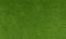 Woodland Scenics 49 Blended Turf - Green Grass 