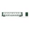 Rapido 174008-1 - HO Scale - New Run - NSC Centerbeam Flatcar: BC Rail - Green: #730231