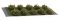 Martin Welberg Scenic Studios WB-SDOL - Bushes - Olive Green - Type D - 2cm-3cm - 10 pcs