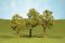 Bachmann 32008 - HO Elm Trees - SceneScapes(TM) -- 3 to 4" 7.6 to 10.2cm pkg(3)