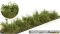 Martin Welberg Scenic Studios WB-SDFG - Bushes - Type D - Fir Green