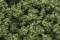 Woodland Scenics 182 Clump Foliage Light Green