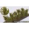 Martin Welberg Scenic Studios WB-SCO - Bushes - Type C - Orange - 30-40mm