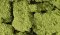 Woodland Scenics 57 - Foliage Clusters - Light Green (50.8 in3)