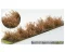 Martin Welberg Scenic Studios WB-SDSB - Bushes - Type D - Sandstone Brown