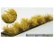 Martin Welberg Scenic Studios WB-SDGH - Bushes - Type D - Yellow Fall