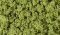 Woodland Scenics 682 - Clump Foliage - Light Green - Bag (57.7 in3)