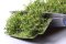 Martin Welberg Scenic Studios MB-SBG - Bushes - Yellow - Type B - 3cm-4cm - 10 pcs