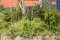 Martin Welberg Scenic Studios WB-P203 - Tufts - Late Summer - 2mm