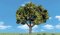 Woodland Scenics 3510 - HO Ready-Made Trees - Sun-Kissed (3/pk) 4-5 inch