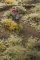Martin Welberg Scenic Studios WB-M010 - Rough Meadow - Fall w/ Weeds - Type E - Mat - 30cm X 21cm