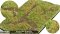 Martin Welberg Scenic Studios WB-M029 - Wild Verge - Fall - Type E - 30cm X 21cm