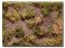Martin Welberg Scenic Studios WB-M054 - Forest Floor - Early Fall - Type D - 30cm X 21cm
